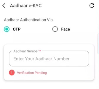 Aadhaar Authentication